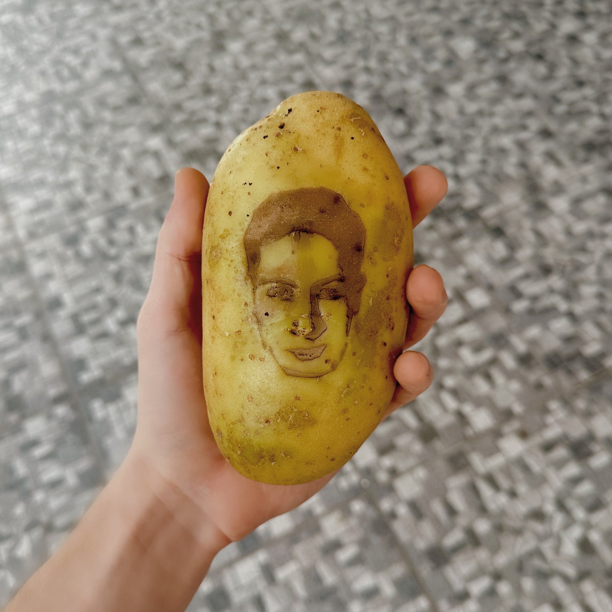 PATATA XL